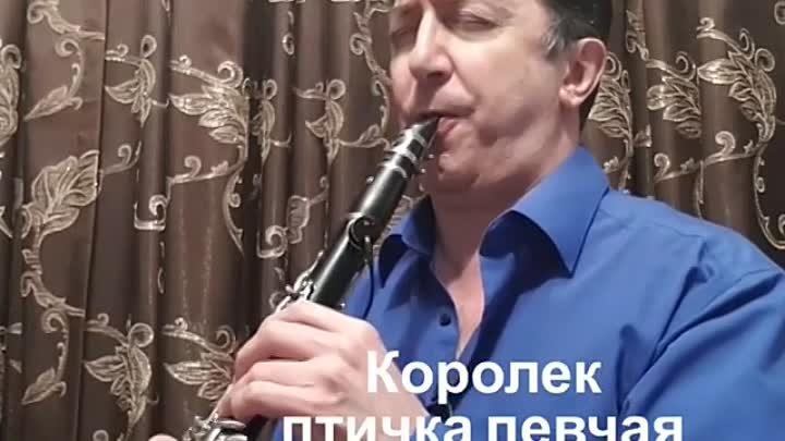 Александр Шахунц - Королёк птичка певчая