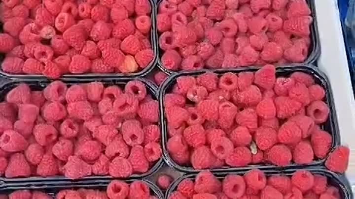 Раскупай сегодня фрукты по низким ценам Новосибирск