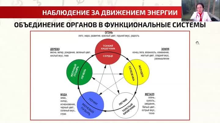 Видео от Ирина Старкова. Пять сил