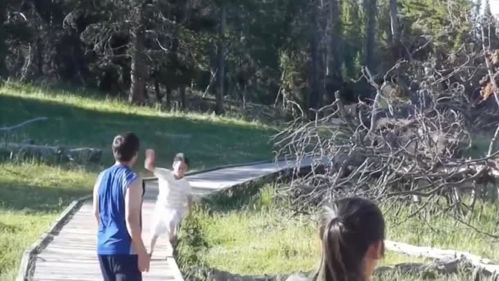 Бизоны напали на туристов в Йеллоустоуне