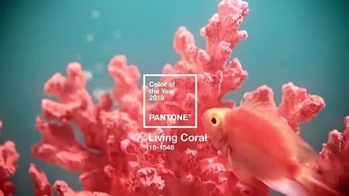 pantone_coral