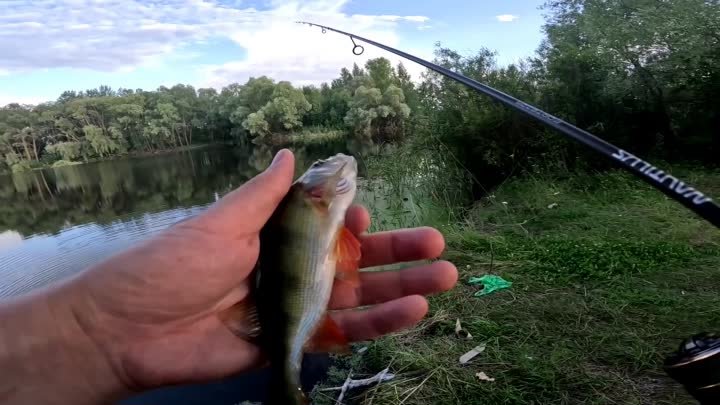 Видео от Fishing Club