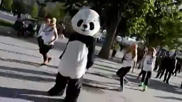 Gangnam Style танцует Панда