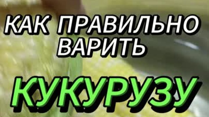 Как правильно варить кукурузу