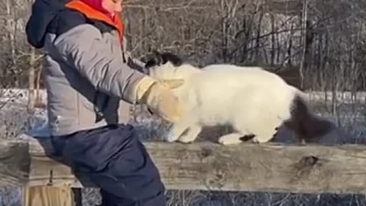 На это можно смотреть вечно