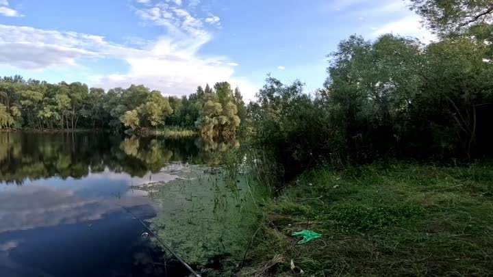 Видео от Fishing Club