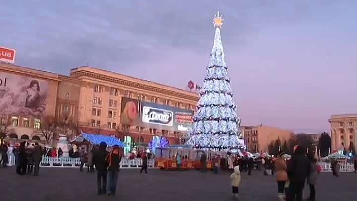 Харьков 22 12 2013 Новогодняя елка - 3