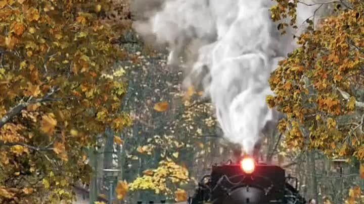 А Осень тем и хороша, 
что красками нам душу согревает...🍂🍁🌾