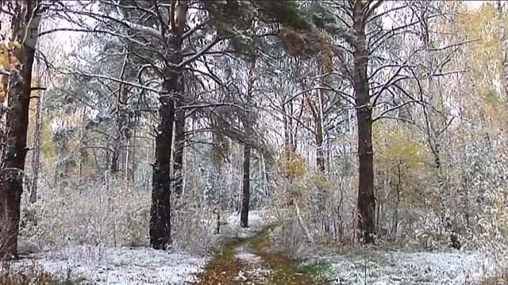 Суерский бор (Окрестности Кургана). ГЕО 45.