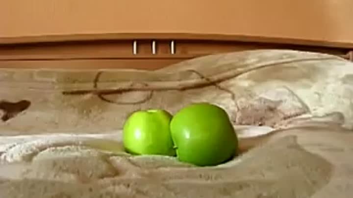котенок и страшные яблоки)))