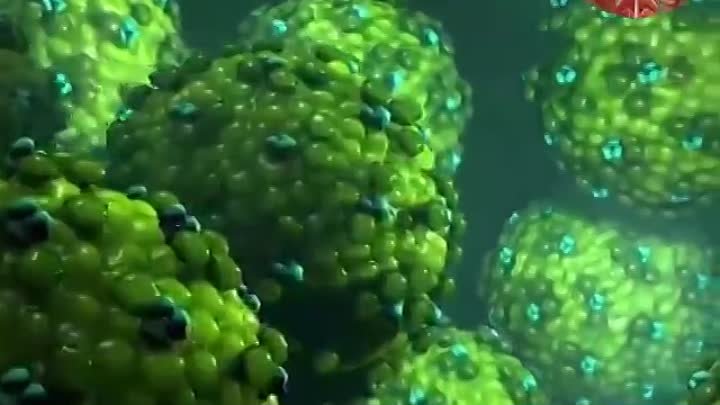 Вирус, который навсегда «спрячется» в нашем организме
