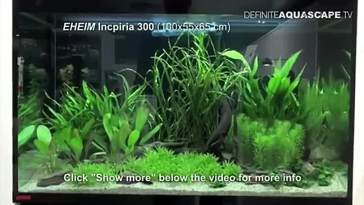 Aquarium ideas from InterZoo 2012 (pt. 24) - EHEIM, pt.1