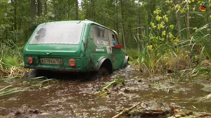 ДЗЕН ОК Приключения зеленой нивы