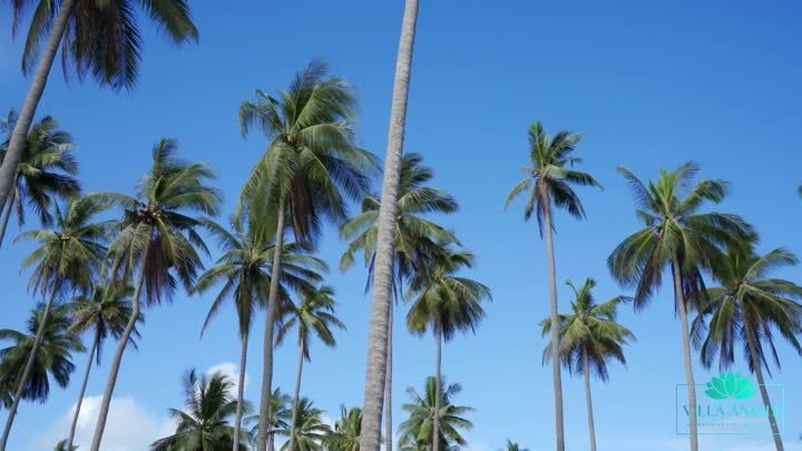 Villa Anjali 3 Maenam Koh Samui