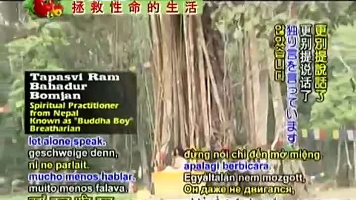 Рам Бахадур Бомджан - Часть 1 из 2 - Медитирующий Мальчик Будда из Н ...