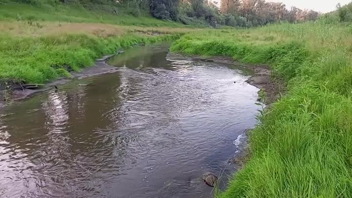 Устье рек,юрга-тобол