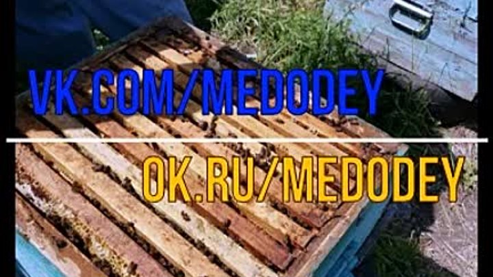 medodey_003
