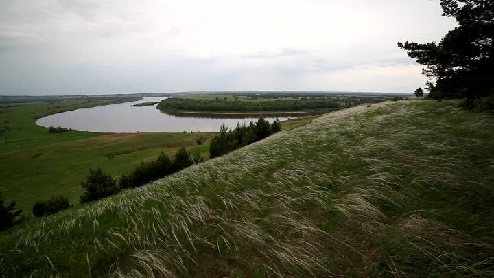 Живая фотография. Костарево вечер соловьи.