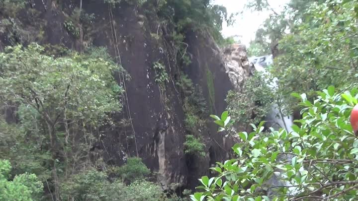 У водопада в джуглях