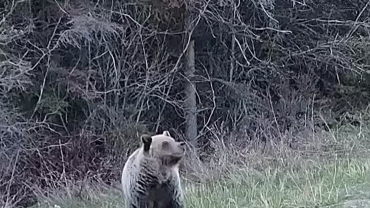 УНОСИМ НОГИ!