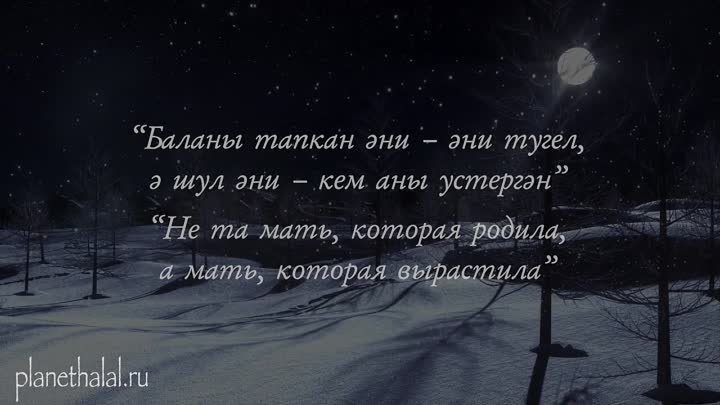 Татарские цитаты, которые лучше посмотреть в молодости и не жалеть в ...