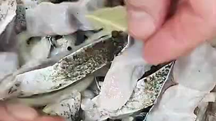 Вкуснейший рецепт маринованной рыбы