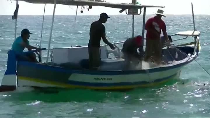 Рыбалка в Тунисе