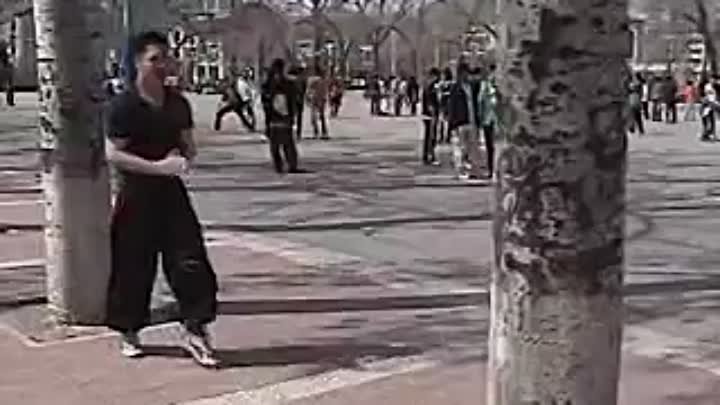 An Wushu - Ba Ji Quan