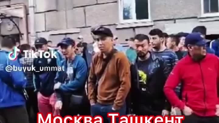 Узбеки Таджики мигранты Россия Москва Питер