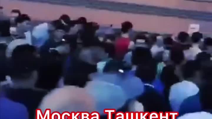 Узбеки Таджики мигранты Россия Москва Питер