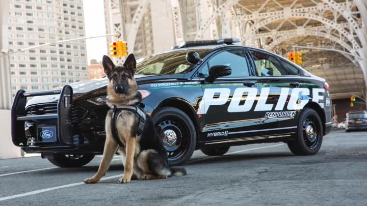 2018 Ford Police Responder Hybrid [YOUCAR]_Full-HD.mp4