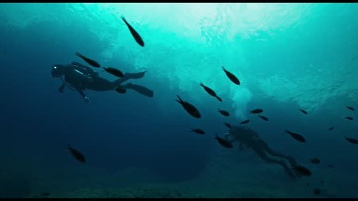 Подводный капкан | Трейлер | В кино с 24 августа
