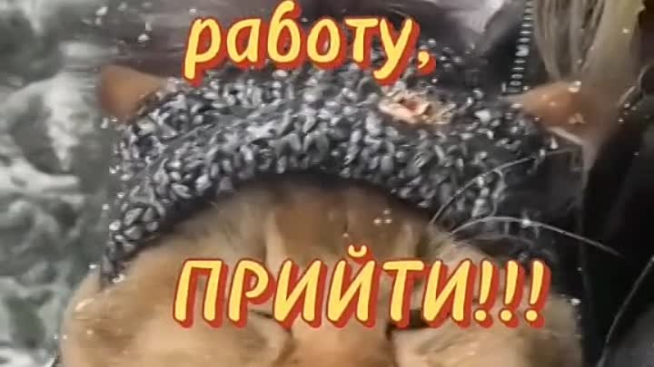 Видео