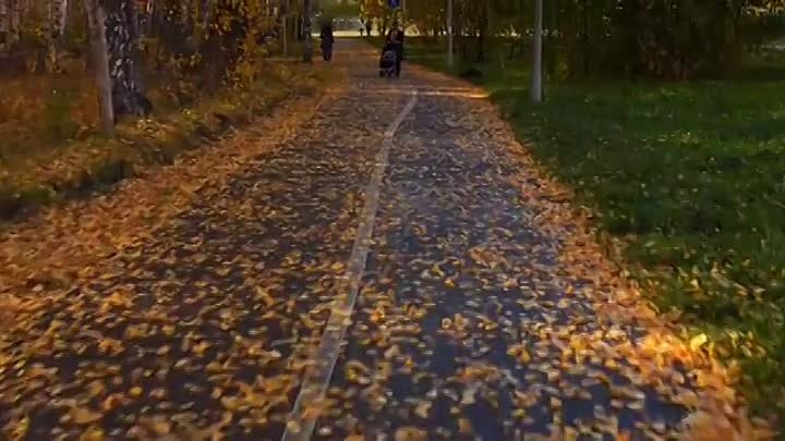 Тюмень ♥️ Гилевская роща. Какая прекрасная осень в 2019-ом...  Видео ...