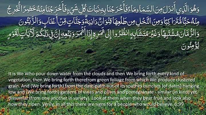 Surah 6 - Al-Anam: 🔊 ARABIC Recitation with English Subtitles. Natu ...