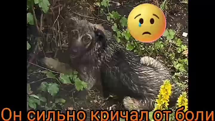 Автотравма Оскар, множественные переломы 😫😰