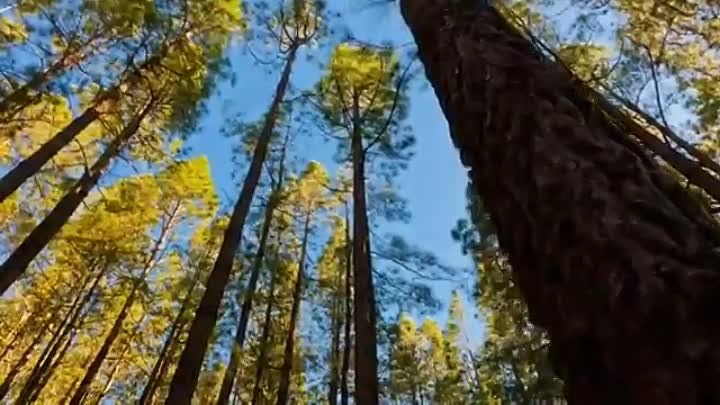 Красивые и душевные видео ролики Потрясающе видео звездного неба и п ...