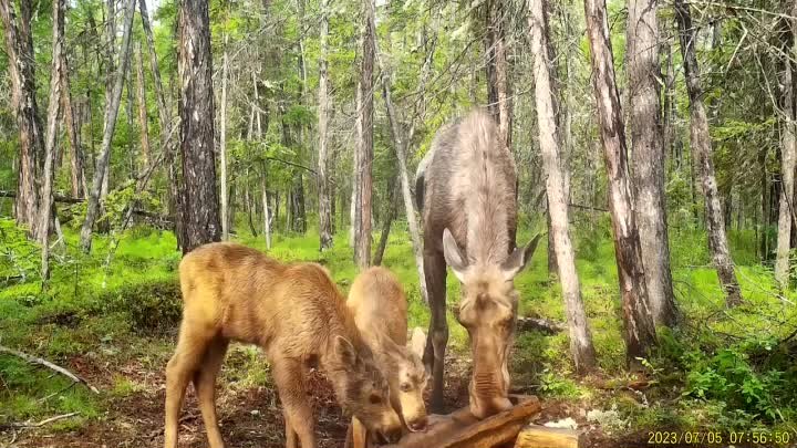 НА СОЛОНЦЕ!