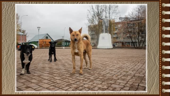 Площадь - Фотоальбом. Петровск