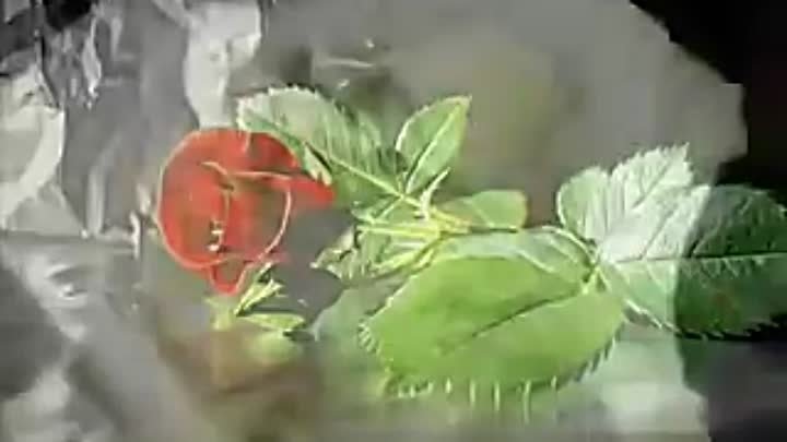 'Розы' - Любовь Шепилова