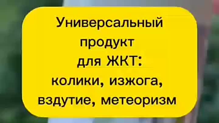 Уйдет изжога навсегда 👍заживляет слизистую желудка, справляется с я ...