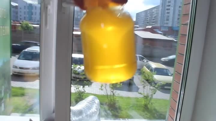 Свежий сибирский мед