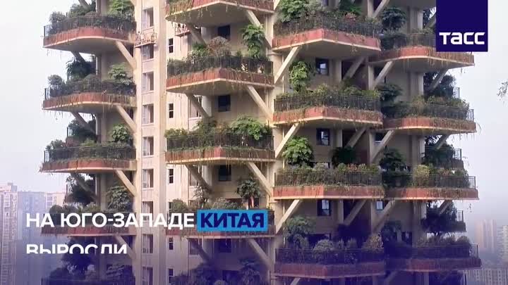 На юго-западе Китая построили необычный жилой комплекс. У каждого жи ...