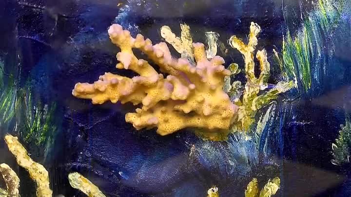 водопад видео "Коралловый риф"