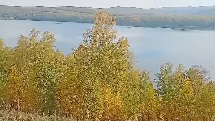 Live: Шарыповский муниципальный округ, озеро Инголь, 28 сентября