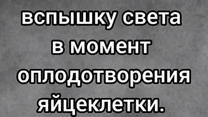 Это есть так как оно есть в момент зачатия присутствует Господь!