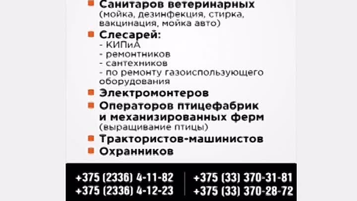 Вакансия Официант в Гомеле. Работа официантом Август 2023