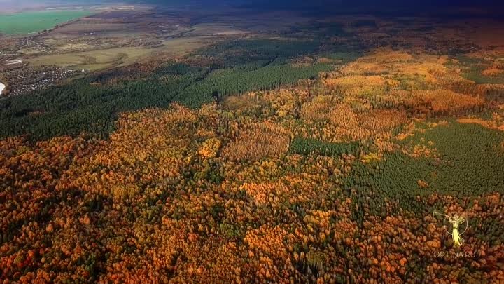 Лесное озеро вблизи монастыря Оптина пустынь