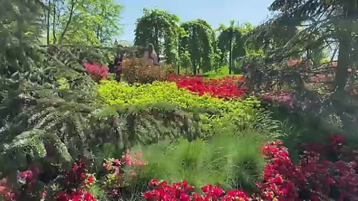 Японский сад в парке Галицкого Краснодар 4 мая
