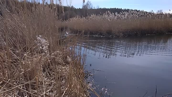 VID_20190324_140023